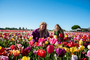 Laatste openingsweekend Tulip Experience Laatste openingsweekend Tulip Experience
