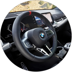 BMW_embleem_motorklep